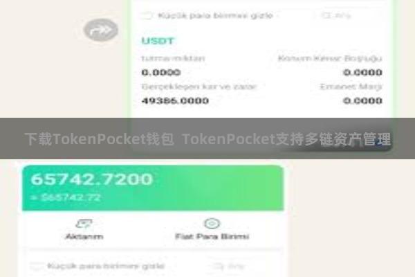 下载TokenPocket钱包 TokenPocket支持多链资产管理
